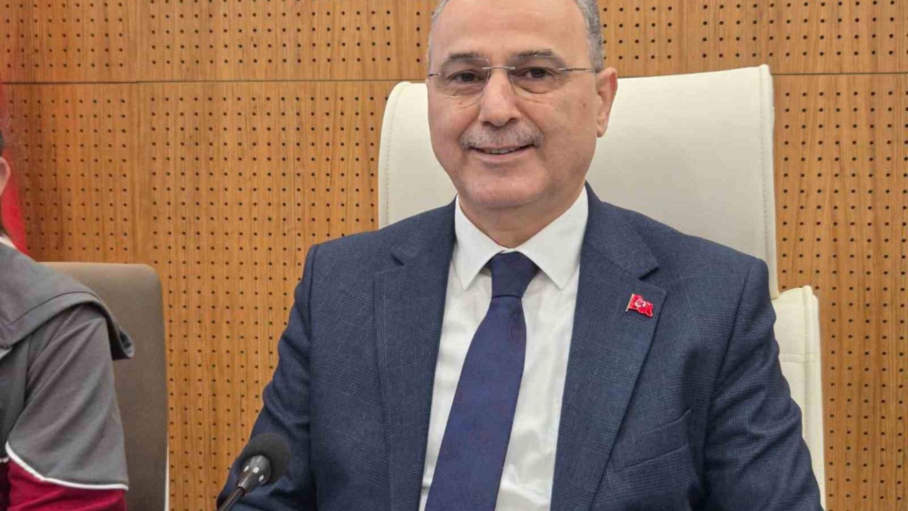 Samsun’da konteynerde bulunan 9 köpekle ilgili rapor açıklandı: "Doğal ölüm"
