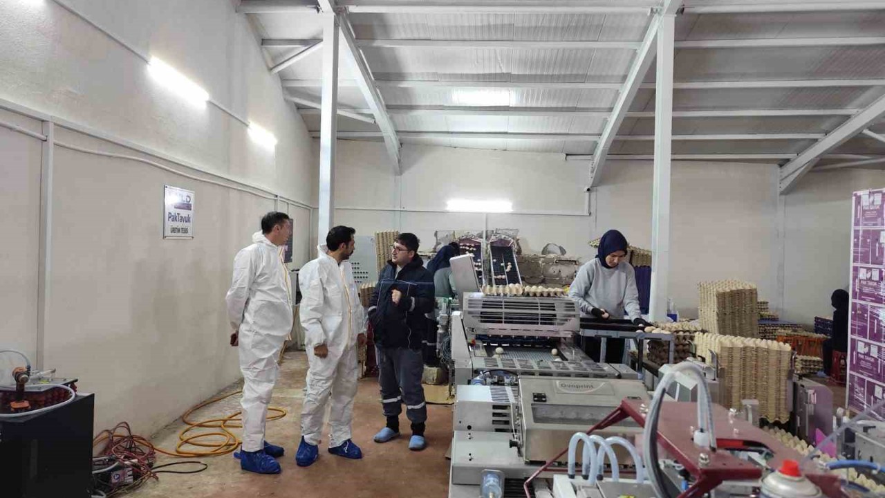 Çavdarhisar’da ticari yumurtacı kanatlı işletmesinde inceleme
