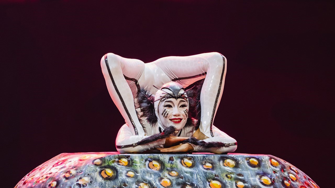 Cirque du Soleil’in böceklerin dünyasını anlatan dev yapımı İstanbul’da sahne alacak
