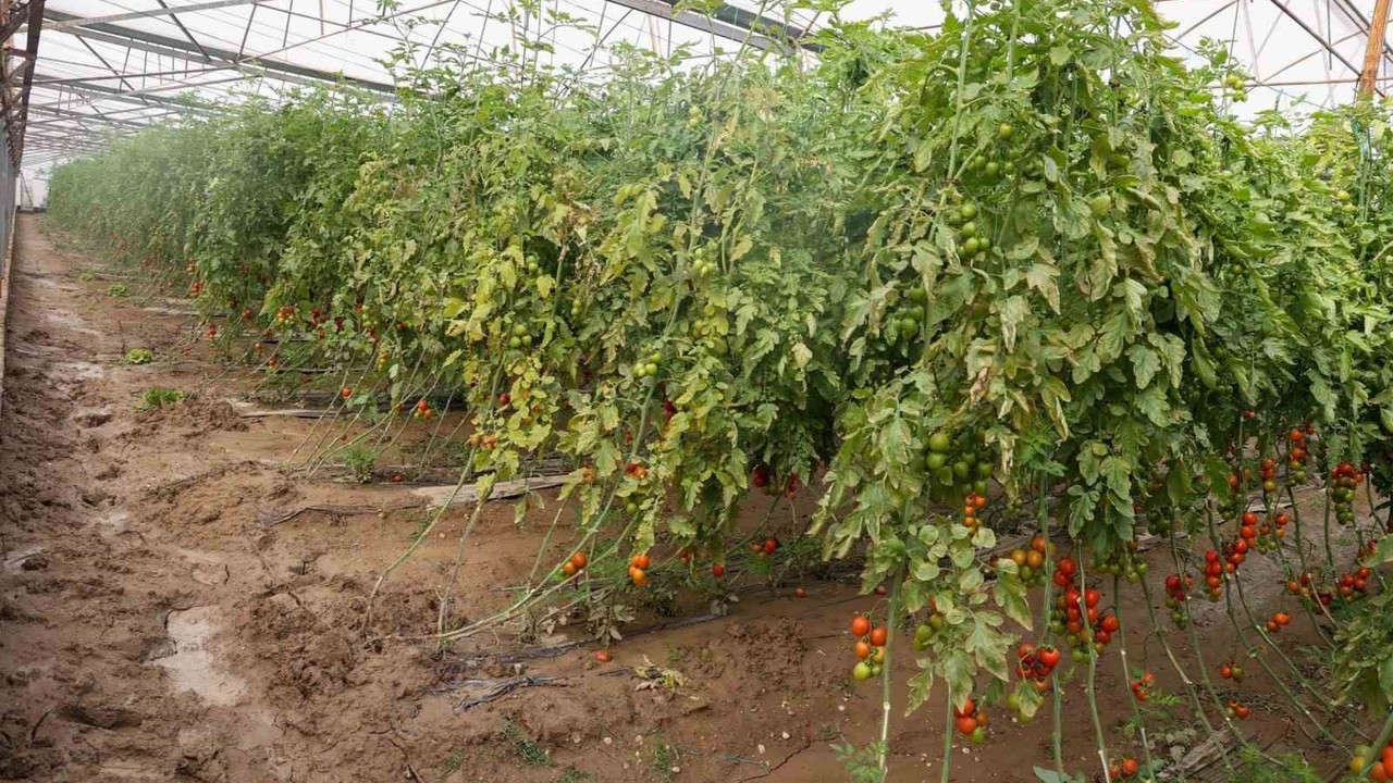 Aksu’da sağanak, sel, hortum ve doludan 23 mahalle, 500 çiftçi zarar gördü
