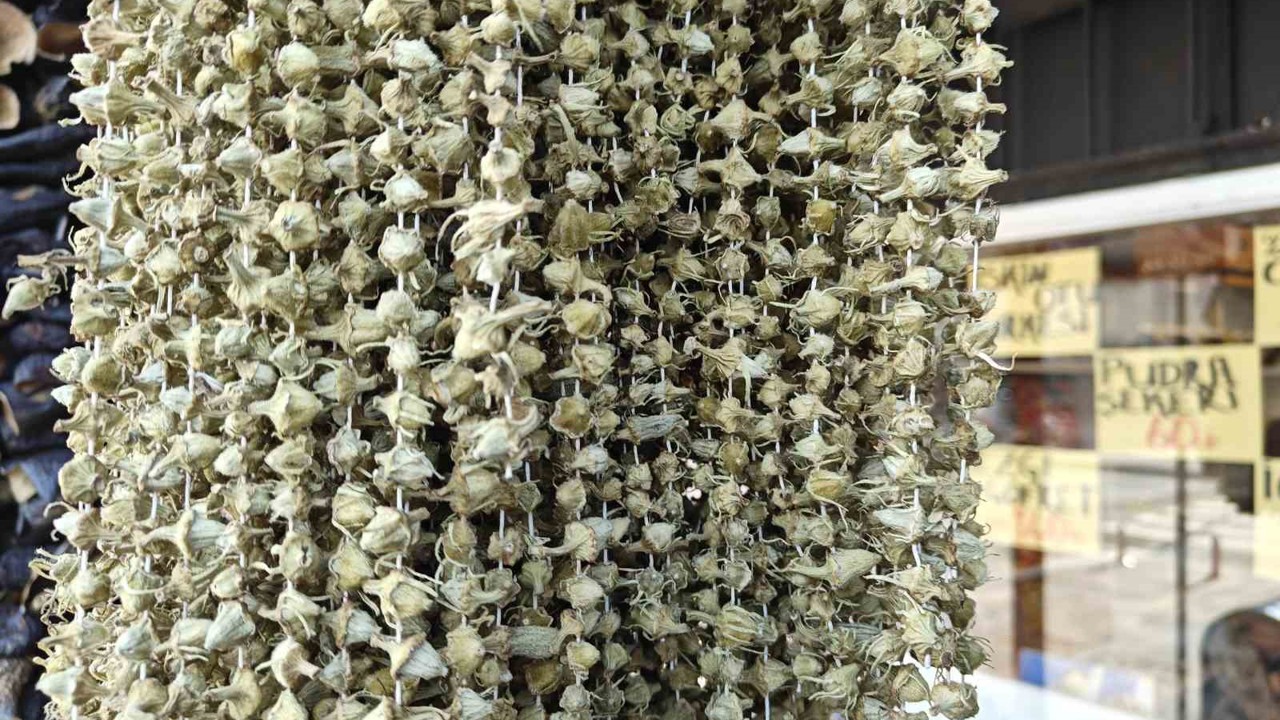 Ramazan’ın gözdesi bamya tezgahlarda
