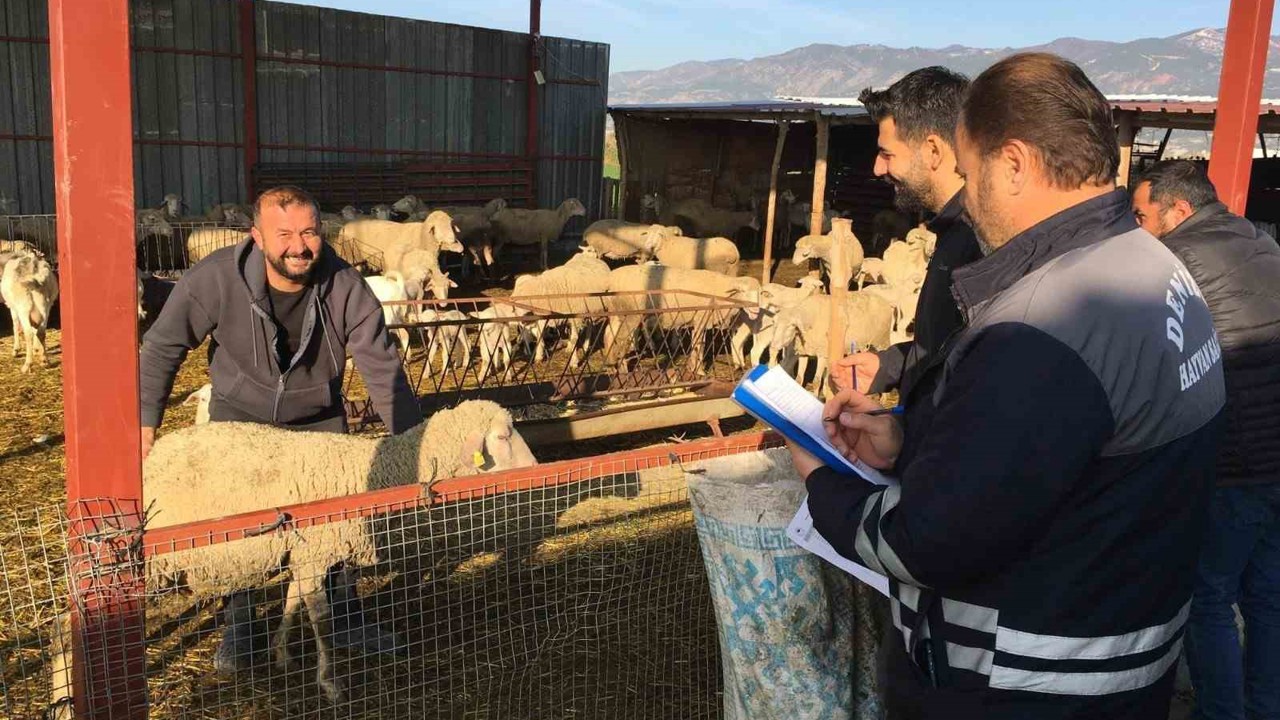 Denizli hayvancılığında sağlık, üretim ve güç bir arada
