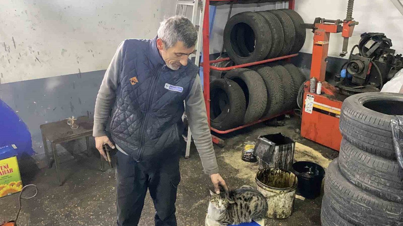 Oto tamircisinin en sadık çırağı "Şıkkıdı" oldu
