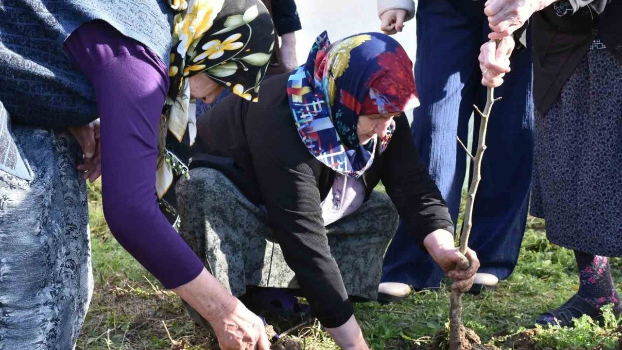 Sinop’ta kuşaklar arası gönül köprüsü fidanlarla kuruldu
