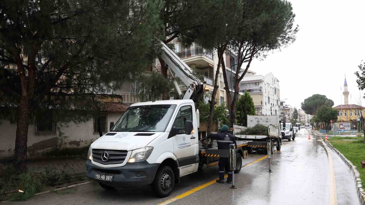 Aydın Büyükşehir Belediyesi’nden Efeler’in yeşil alanlarına bakım
