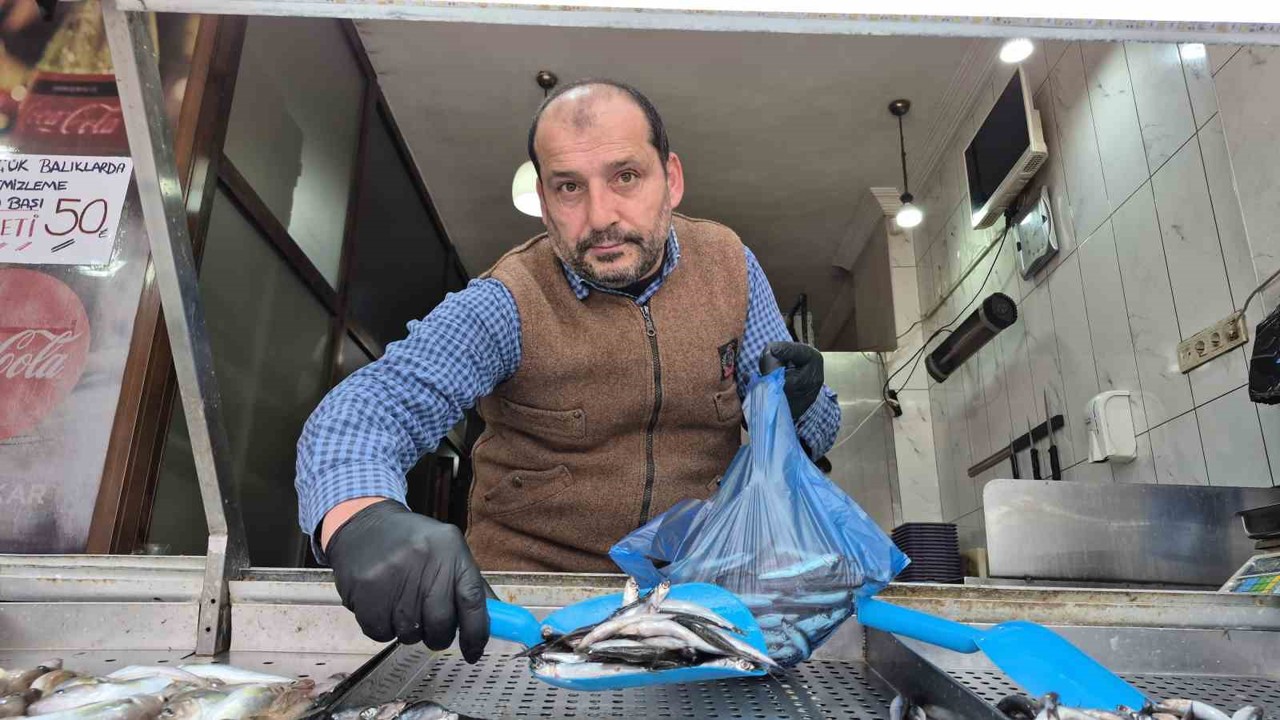 Karadeniz’de hamsi yerini istavrite bıraktı
