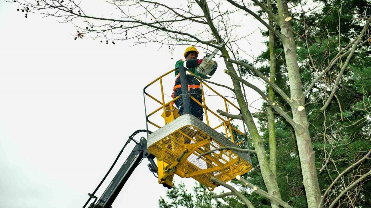 Esenyurt’ta bahar hazırlıkları başladı: Ağaçlar budanıyor
