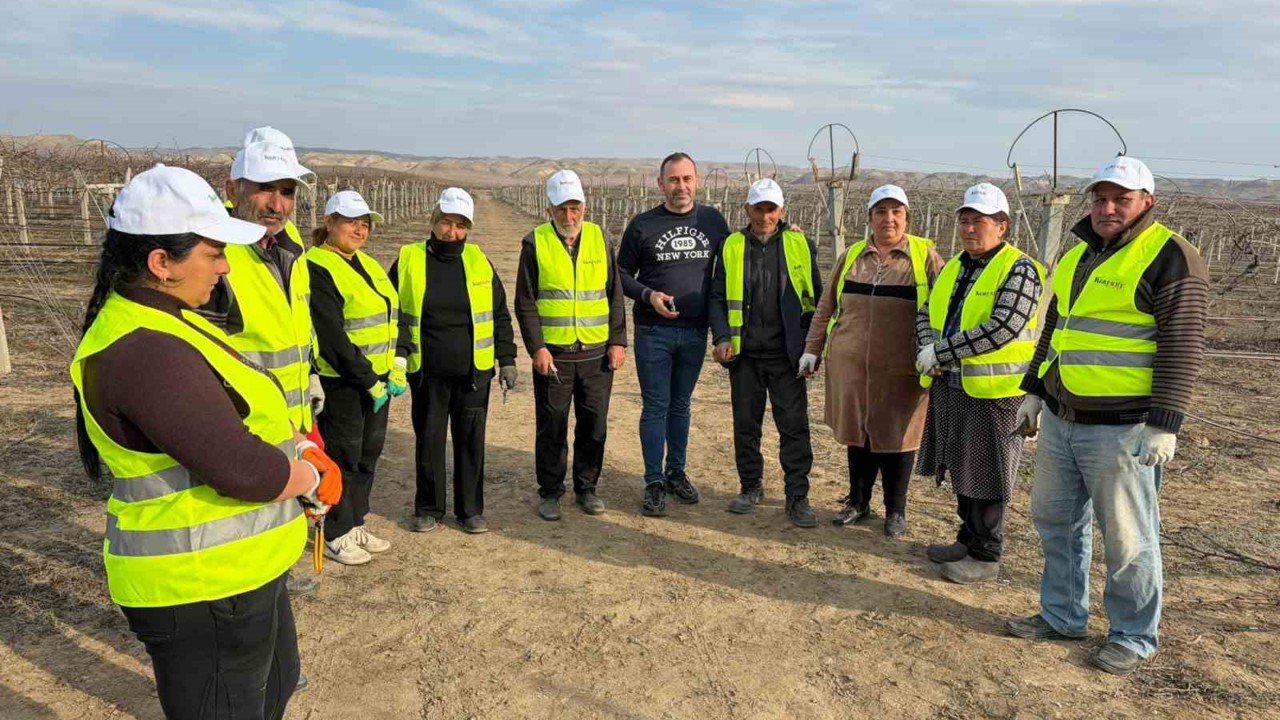Sarıgöllü ziraat mühendisi Azerbaycan’da bağ budama tekniklerini öğretti
