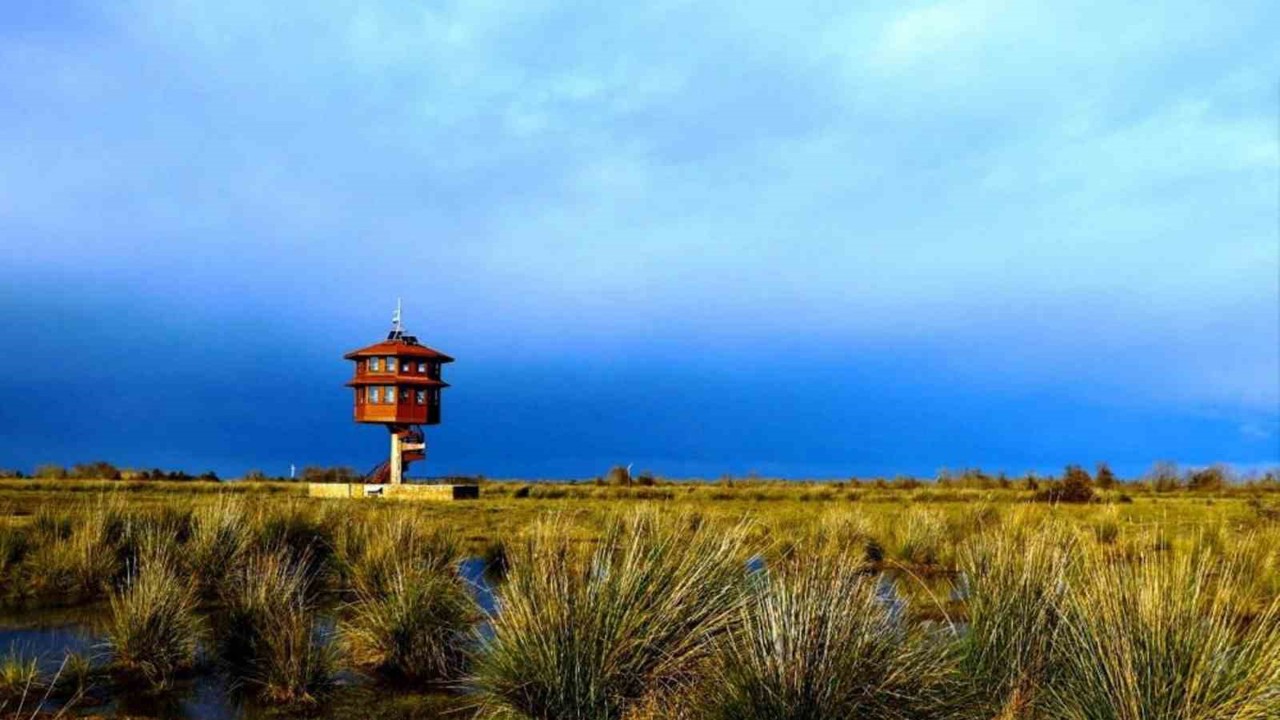 Samsun’da tabiat parklarını 186 bin 271 kişi gezdi
