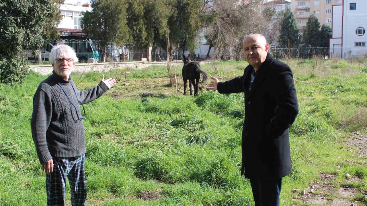Sahipleri ölüme terk etti, resmi kurumlar topu birbirine attı

