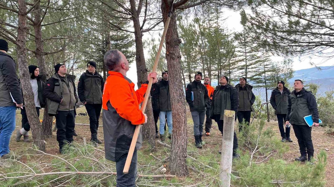 Vezirköprü’de işletme şefi adaylarına silvikültür eğitimi

