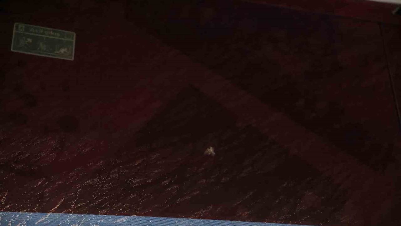 Trabzonspor: "Sporcularımızın ve teknik heyetimizin can güvenliği açık şekilde tehdit altındadır"
