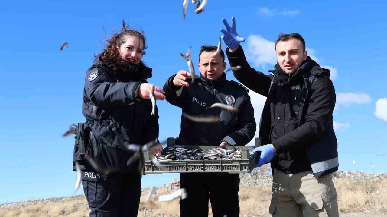 Doğu’nun gizli denizinde şefkat eli: Polis ekipleri martı ve tavşanları unutmadı
