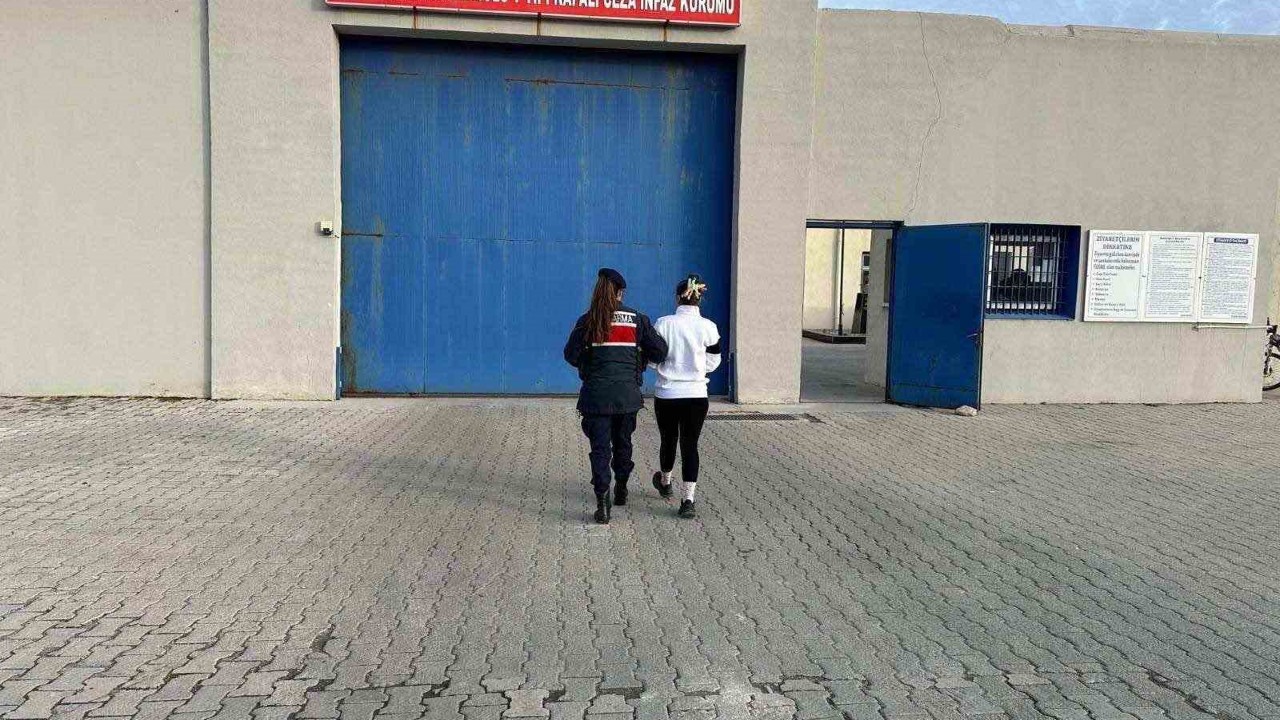 Jandarma tarafından yakalanan 20 kişi tutuklandı
