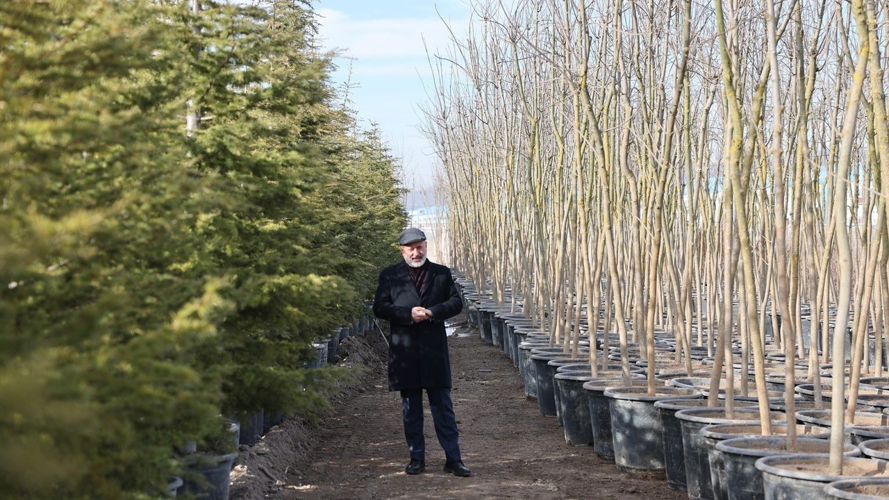Başkan Çolakbayrakdar: "Şehrin yeşil geleceğini Kocasinan’da inşa ediyoruz"
