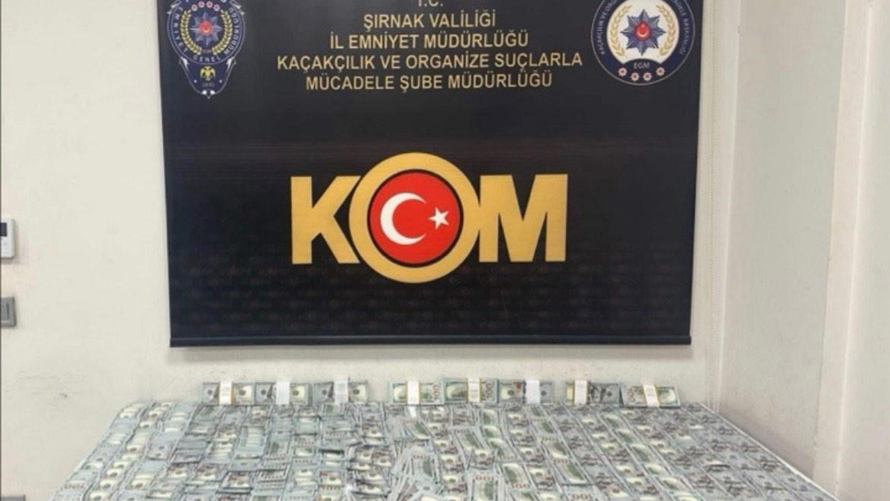 Şırnak’ta asayiş, narkotik ve kaçakçılık operasyonlarında 10 tutuklama
