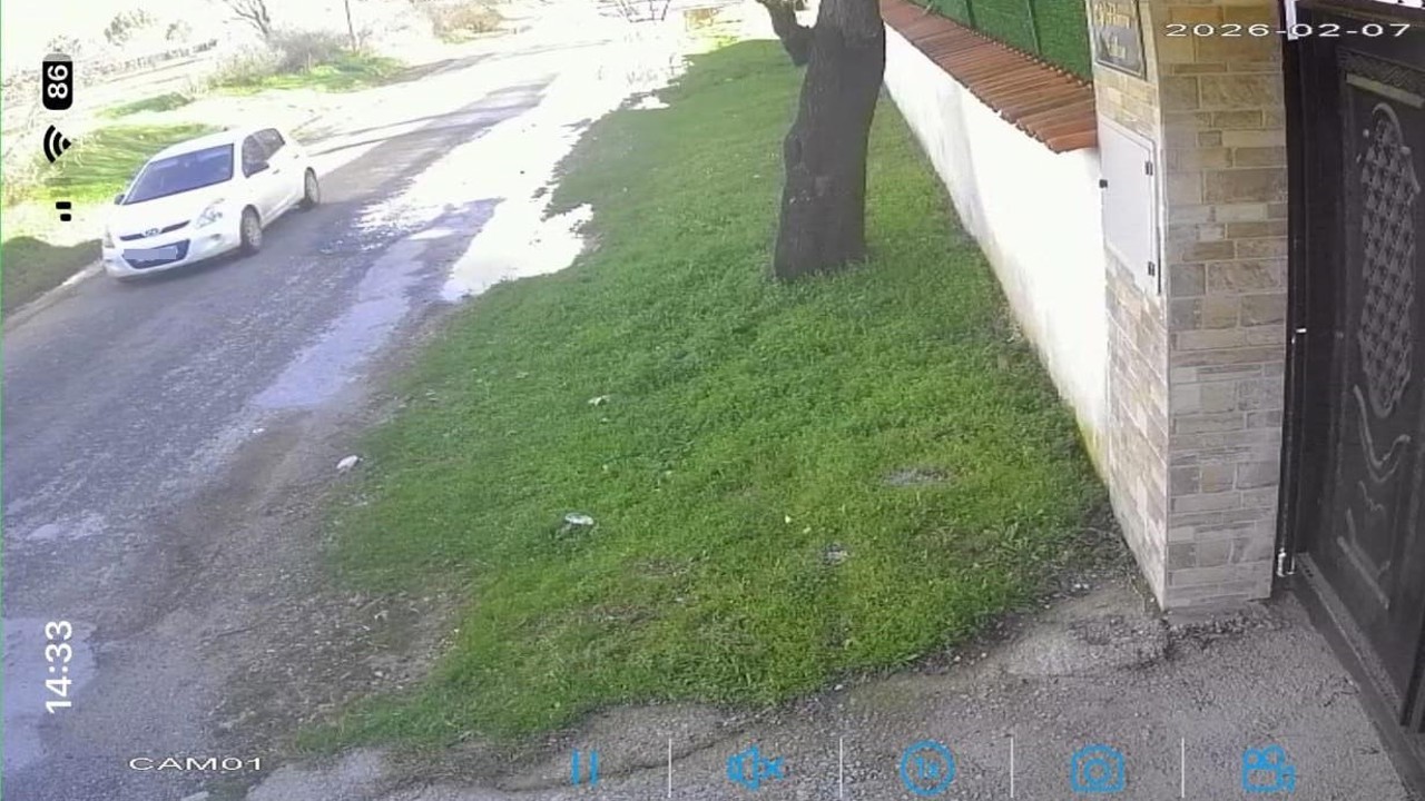 Köpeği çalınan vatandaştan hırsıza çağrı
