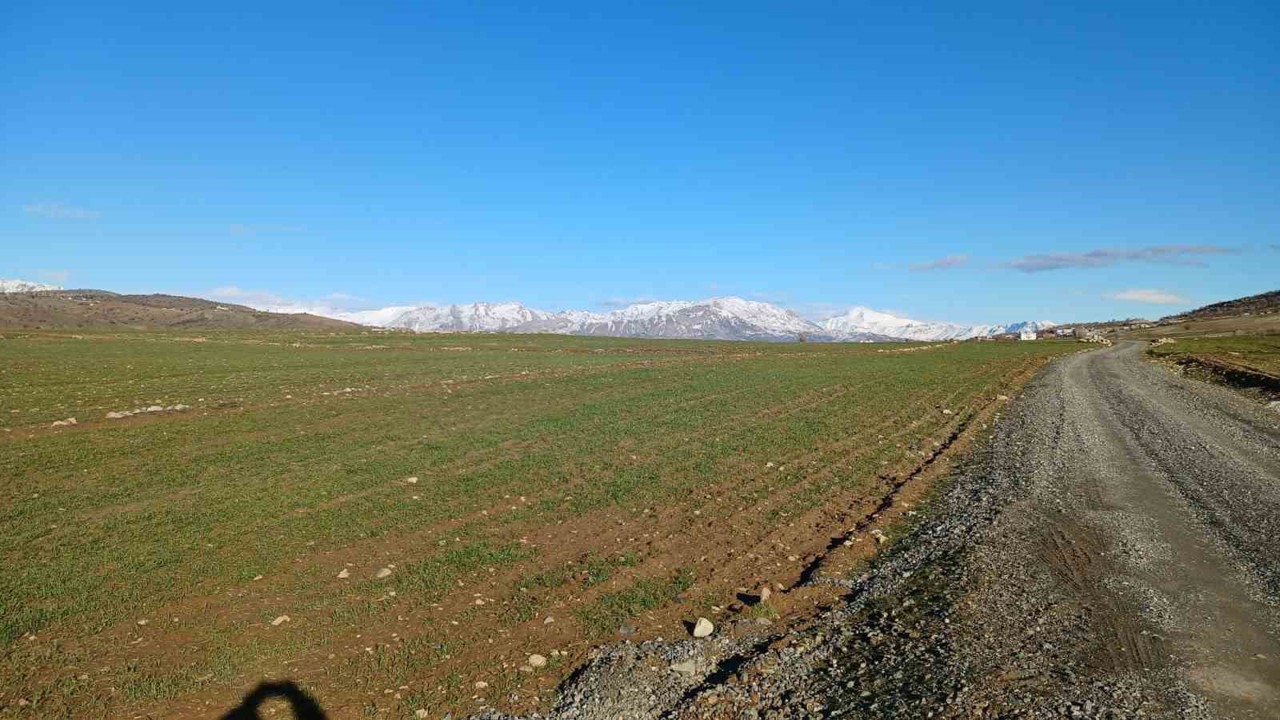 Kulp’ta yağışlar çiftçinin umudu arttı
