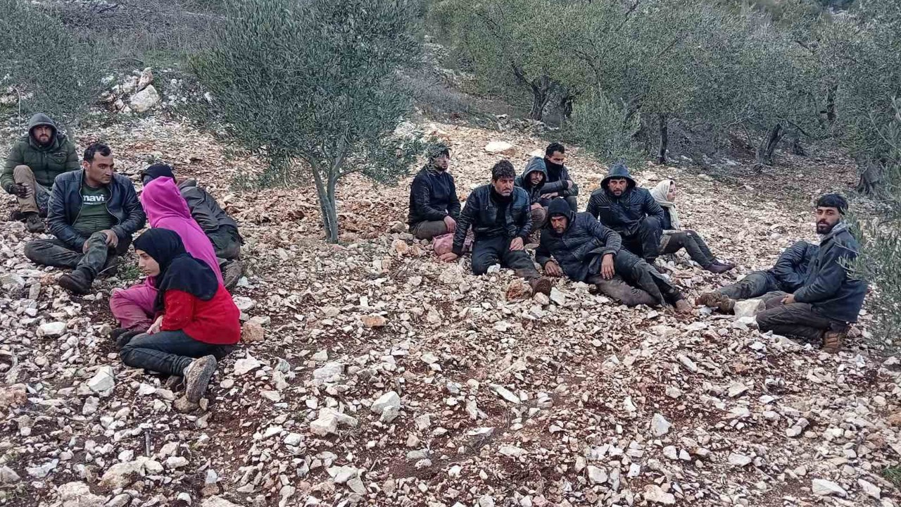 Hatay’da zeytinlik alanda 30 düzensiz göçmen yakalandı
