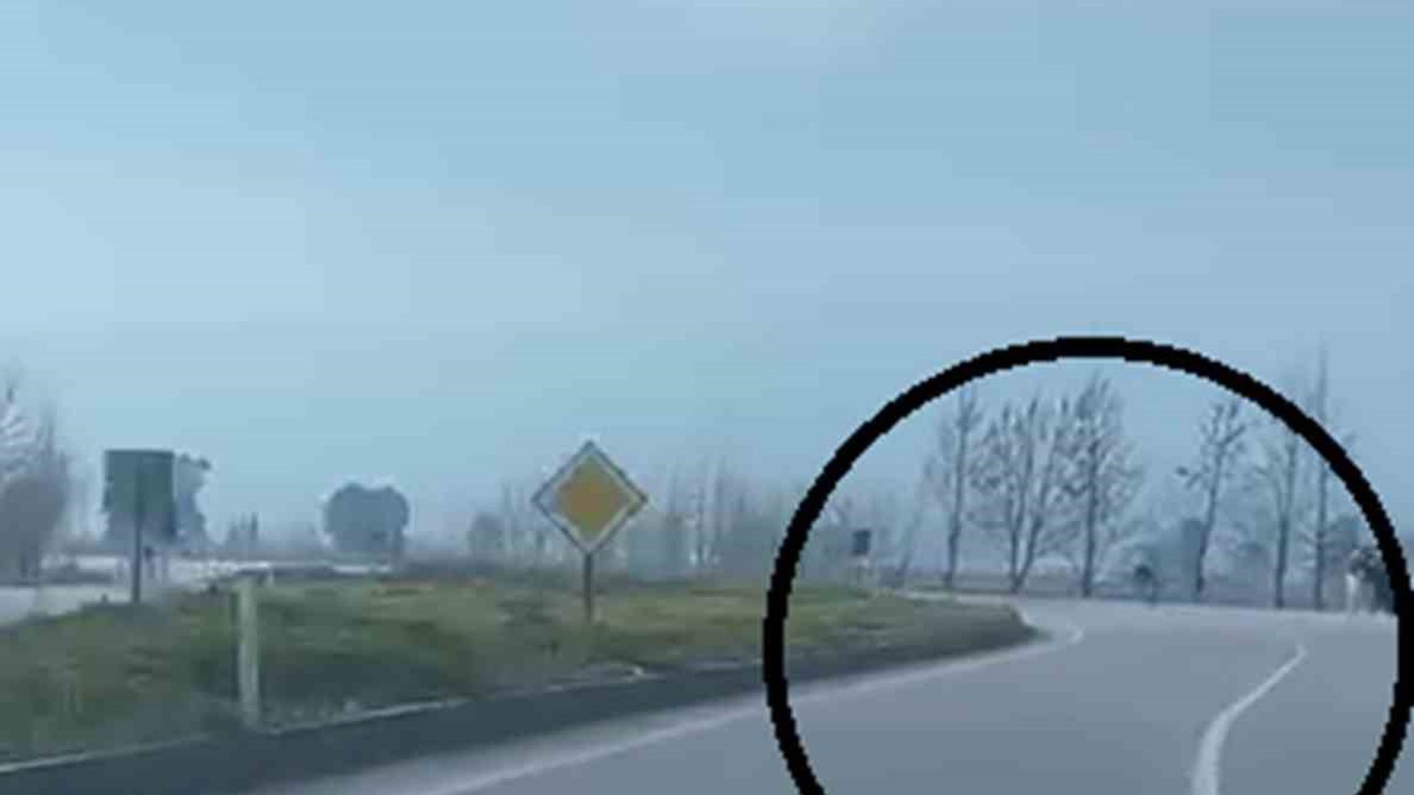 Akrobatik hareketler yapan motosiklet sürücüsü tarlaya uçtu
