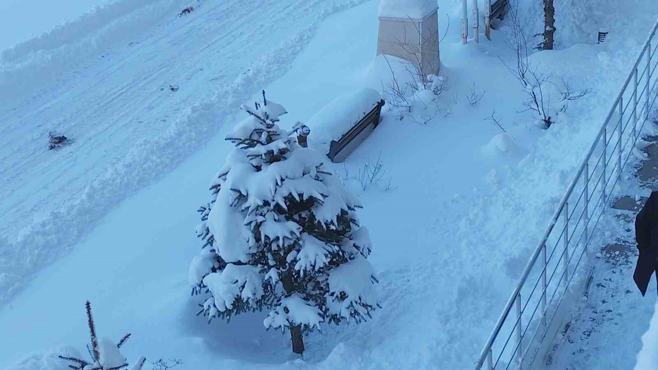 Erciş’te kar yağışı
