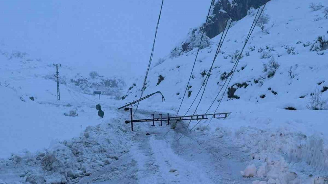 Kar yağışı nedeniyle devrilen 300 elektrik direği yenilendi

