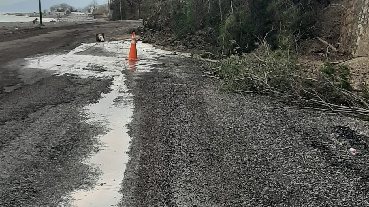Kastamonu’da heyelanda istinat duvarını aşan ağaçlar yola kadar geldi
