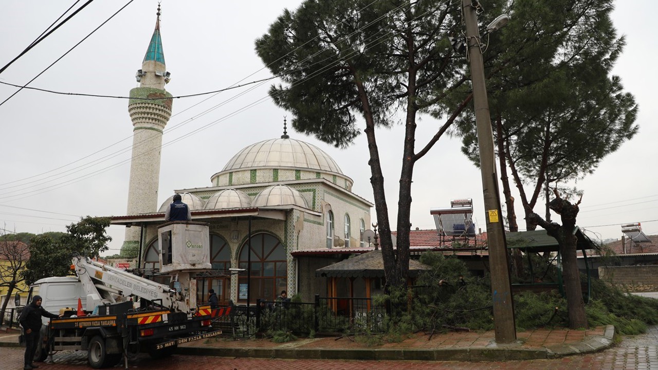 Şehzadeler Belediyesi’nin budadığı dallar ihtiyaç sahiplerinin ocağını ısıtıyor
