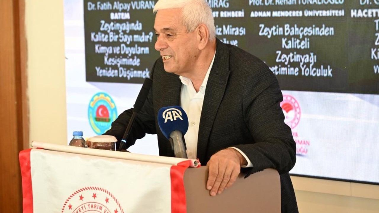 Antalya’da zeytinlik alan 20 yılda 2 katına çıktı
