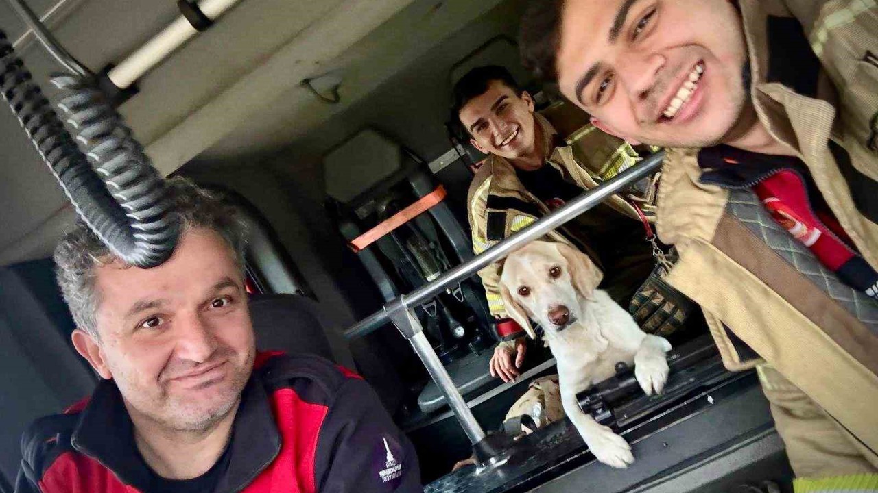 Umuda uzanan eller: Mahsur kalan köpeği itfaiye kurtardı
