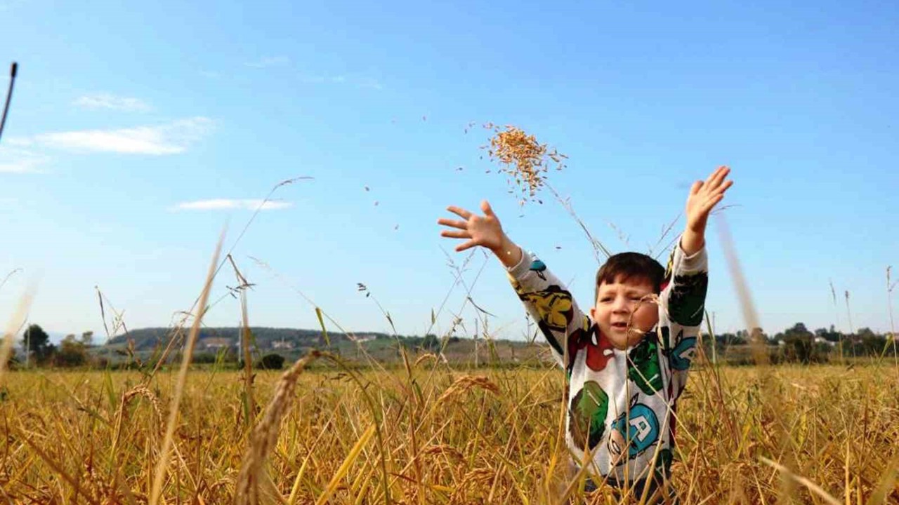 Samsun’da tarımsal üretime 6 milyara yakın destek ödemesi yapıldı
