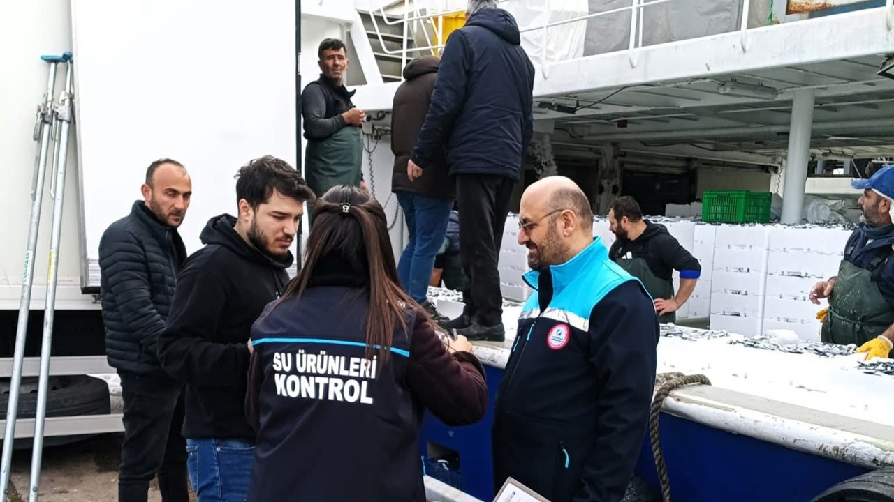 Kırklareli’de hamsi sevkiyatlarına denetim
