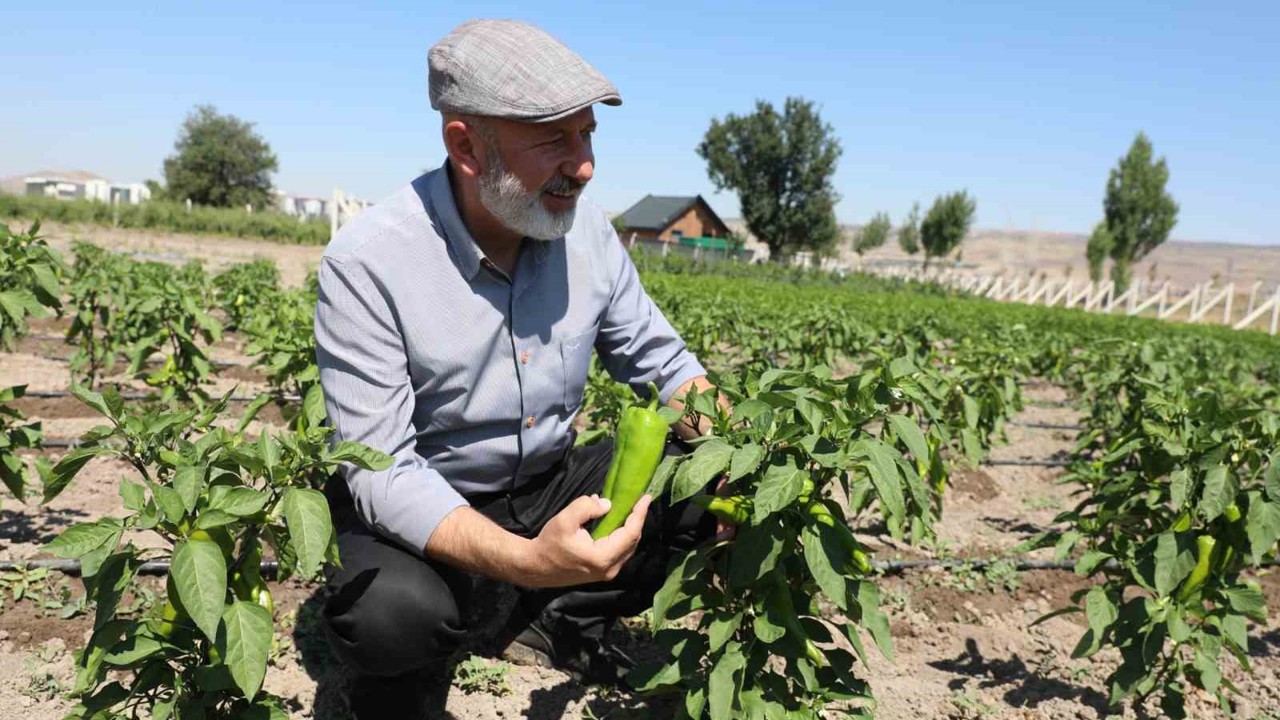 Başkan Çolakbayrakdar: "Toprağımıza bereket, çiftçimize yeni kazanç kapısı açıyoruz"
