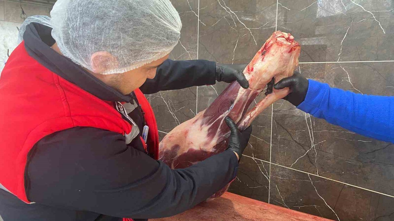 Gıda işletmelerine yönelik denetimler sürüyor
