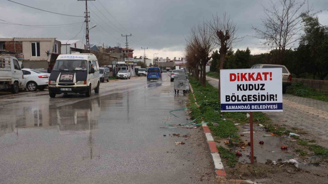 Hatay’da 4 mahalleye kuduz karantinası
