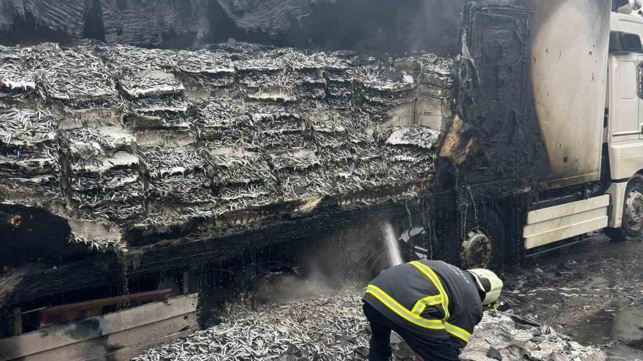 Hamsi yüklü tır alevlere teslim oldu: Dorse kullanılamaz hale geldi
