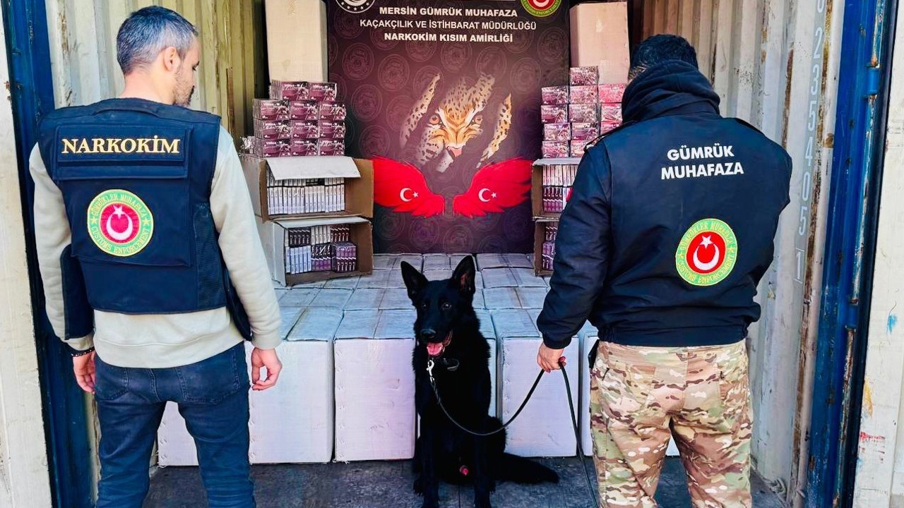 Gümrükler Muhafaza Kaçakçılık ve İstihbarat birimlerince gerçekleştirilen operasyonlarda 4,6 milyar lira değerinde ilaç ve uyuşturucu madde ele geçirildi
