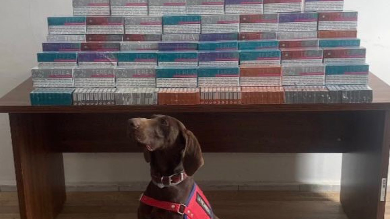 Bolu’da binlerce elektronik sigara kiti ele geçirildi
