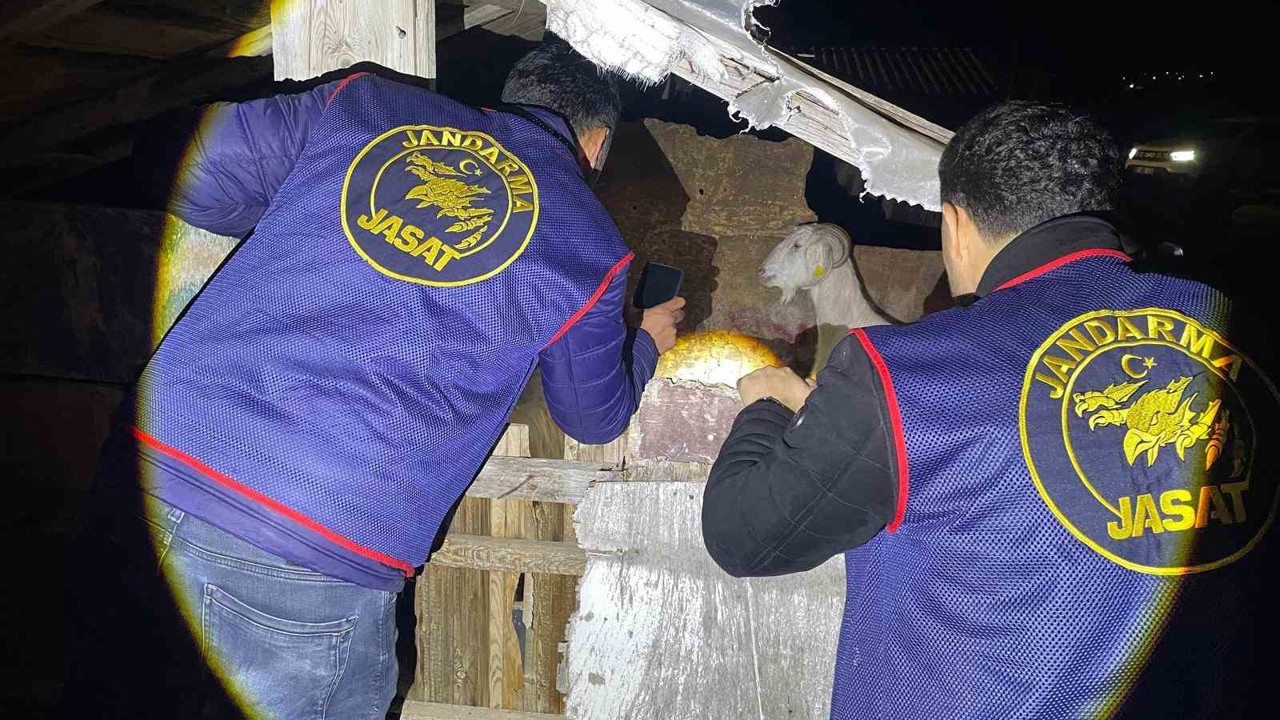 Jandarma kayıp 5 koyun için 3 iş yeri ve 9 meskene ait toplam 24 saatlik güvenlik kamerasını saniye saniye inceledi
