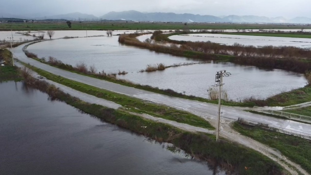 Büyük Menderes nehrindeki taşkın karayolunu kapattı
