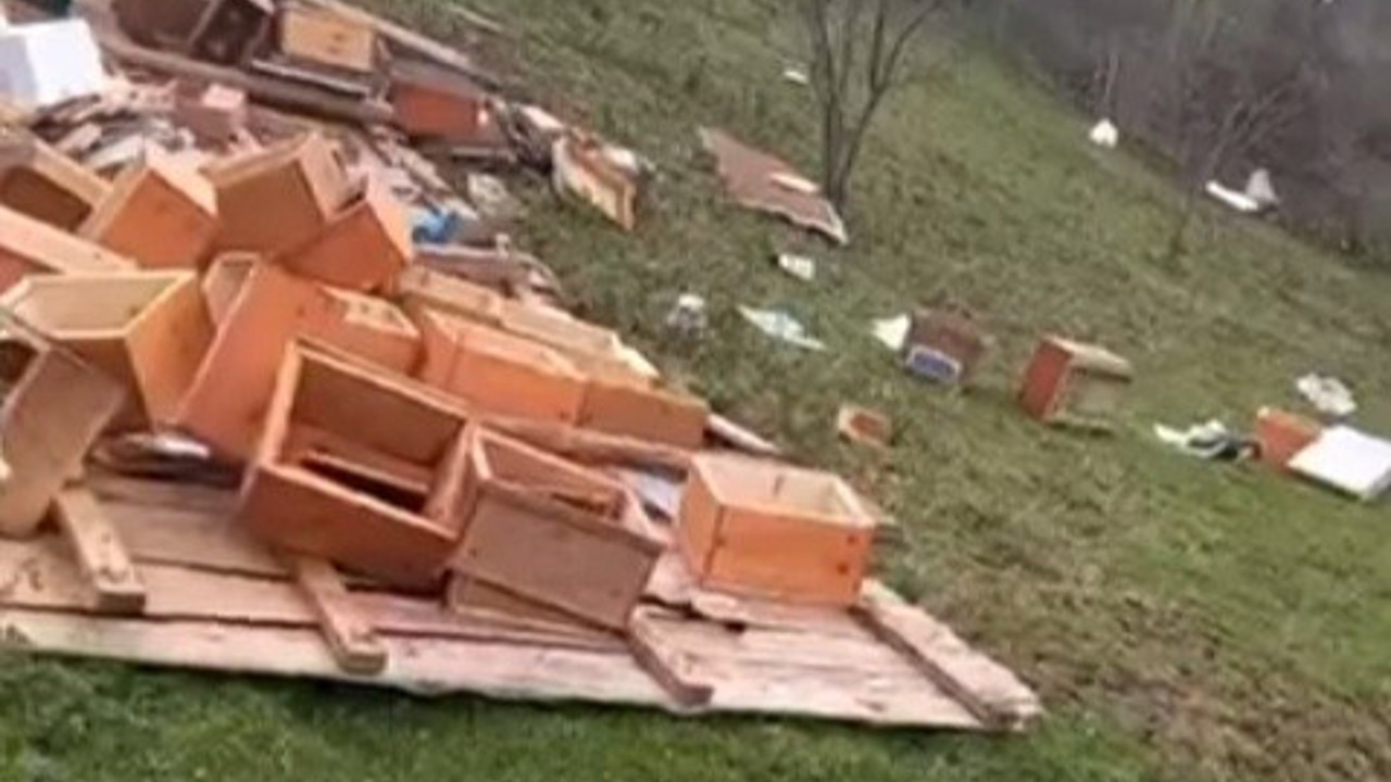 Türkeli’de fırtına arıcılığı vurdu: Onlarca kovan zarar gördü
