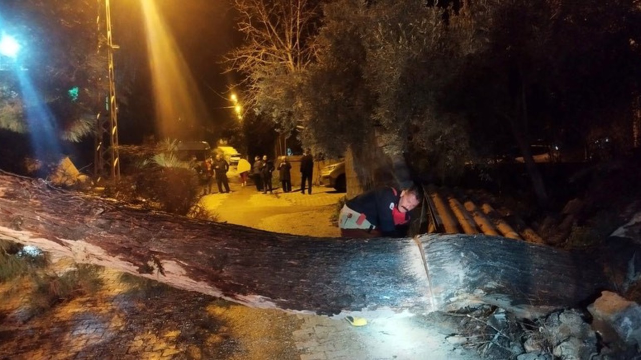 Defne’de devrilen ağaç yolu kapattı
