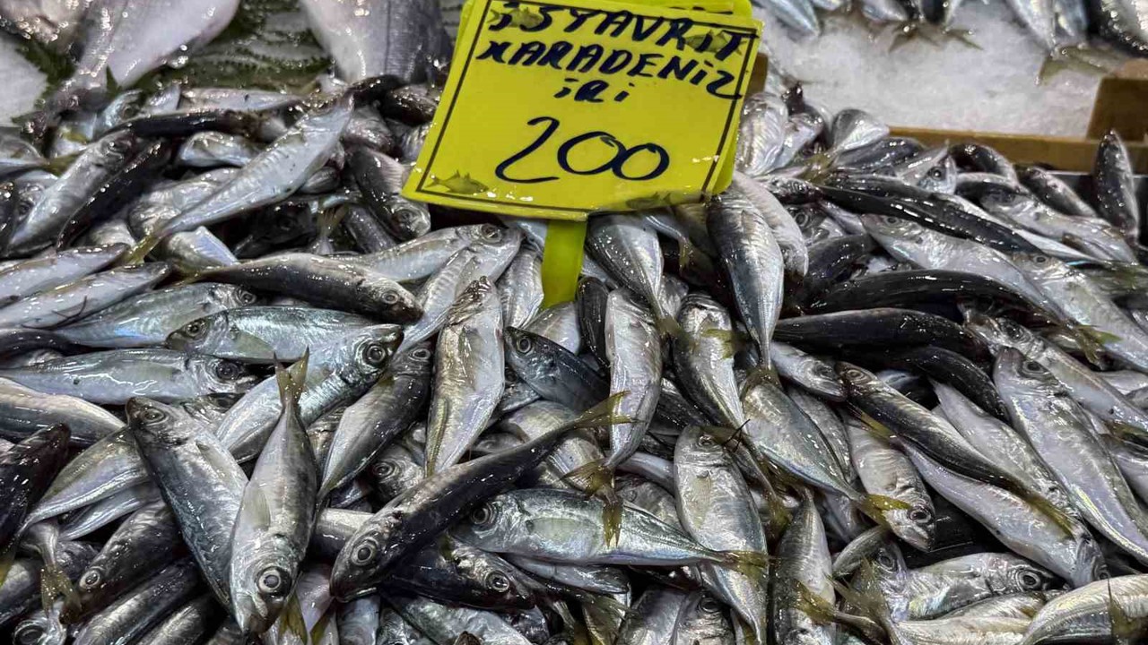 Kocaeli’de balık tezgahlarındaki son durum
