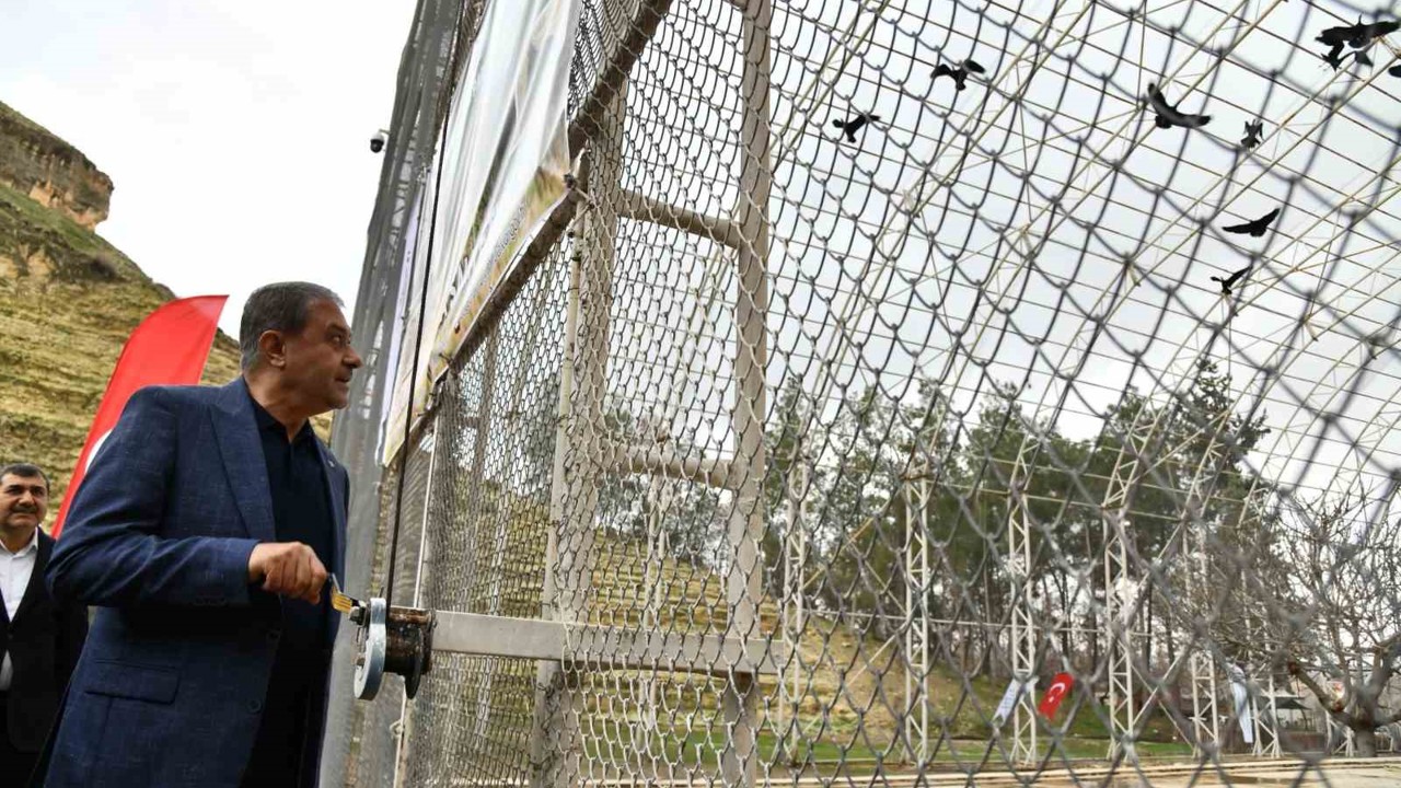 Kelaynaklar doğaya salındı
