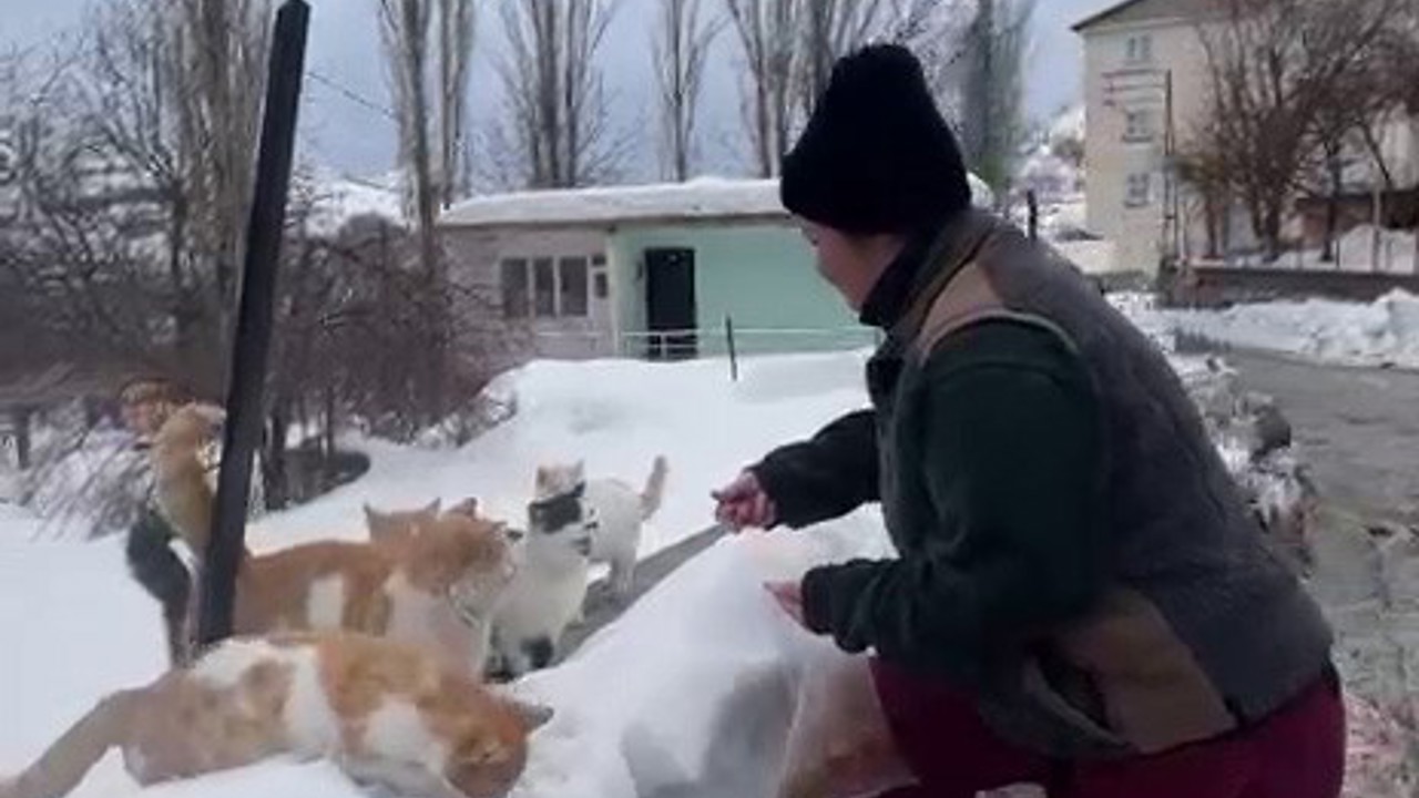 Sokak hayvanlarını beslemek için her yıl bin 400 kilometre yol geliyor
