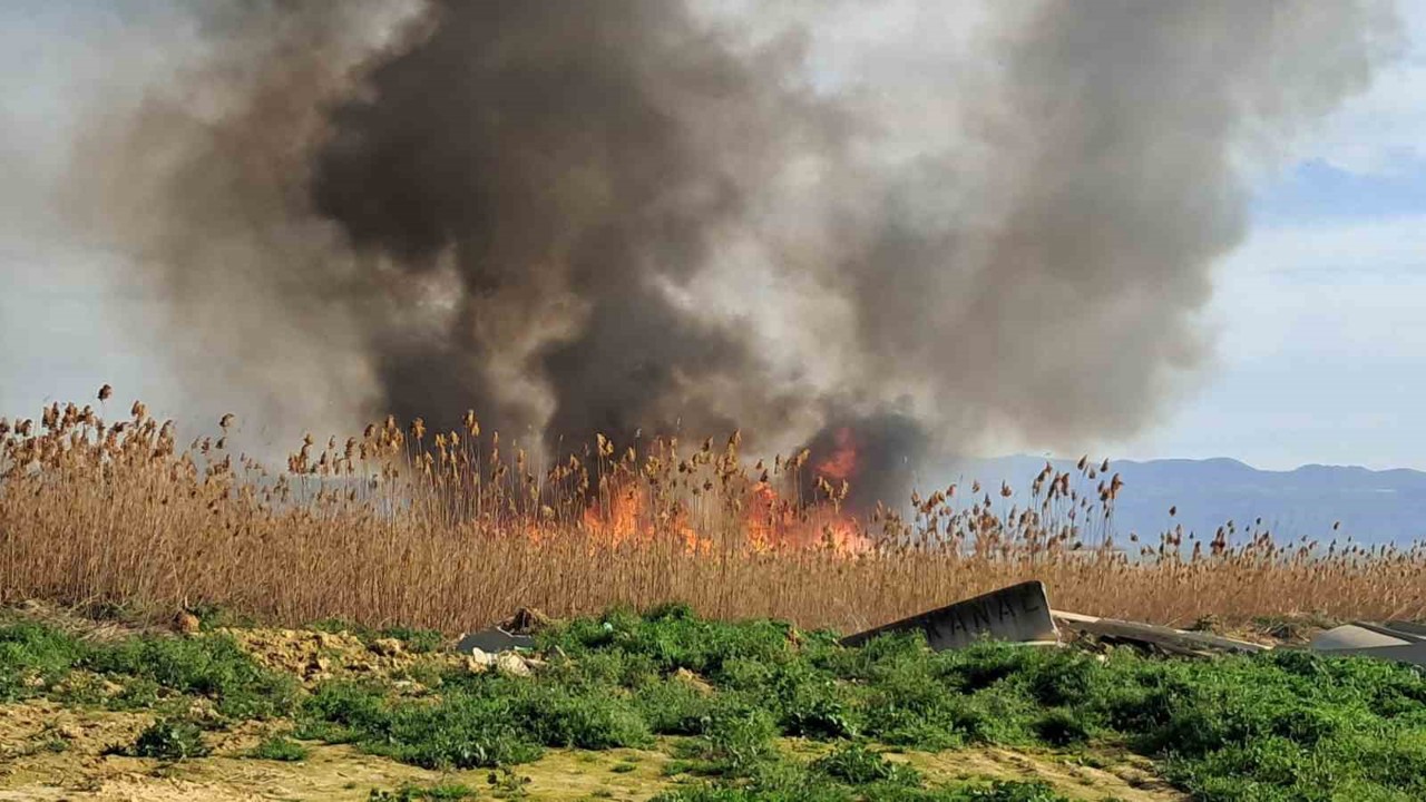 İznik’te rüzgarla birlikte sazlık yangını büyüyor
