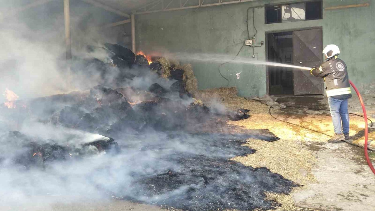Harada çıkan yangında 70 balya saman yandı
