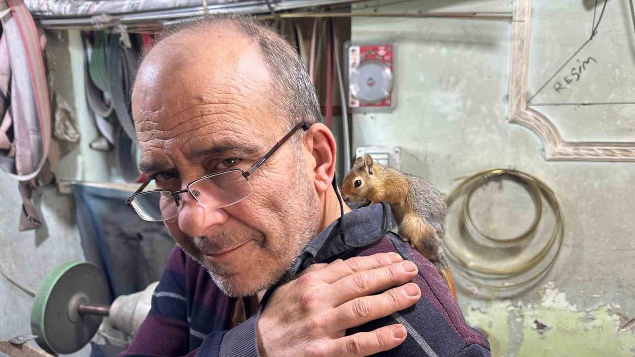 Ormanda bulduğu sincap en yakın dostu oldu
