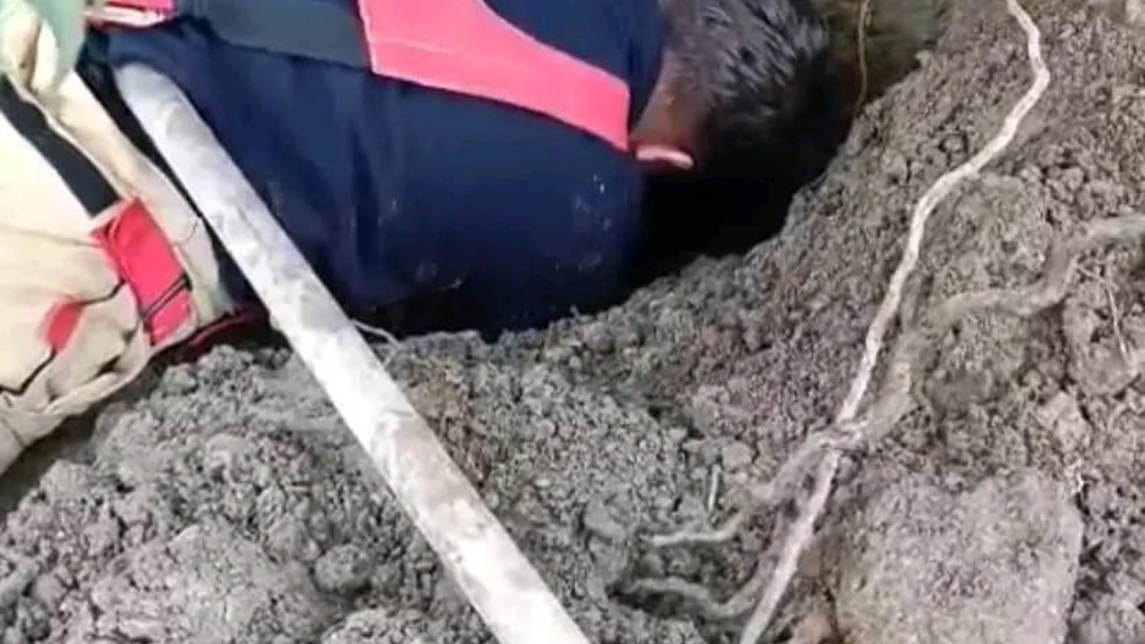 Hatay’da toprağın kaymasıyla göçük altında kalan yavru köpekler kurtarıldı
