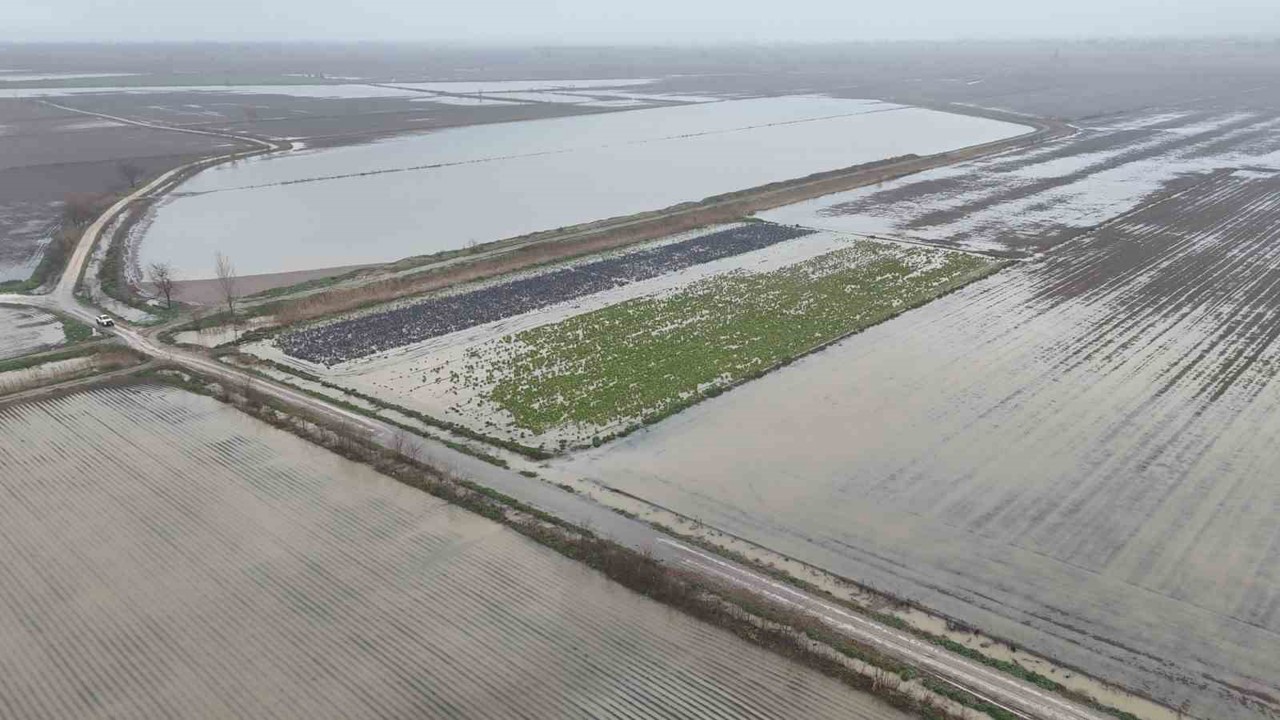 Sağanak yağmurdan sonra binlerce dönüm tarım arazisi sular altında kaldı
